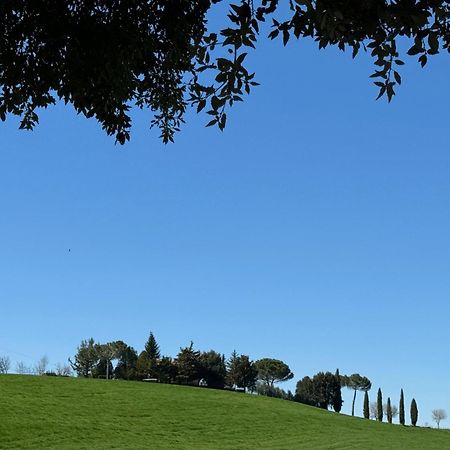 Orvieto Country House Castiglione In Teverina 外观 照片