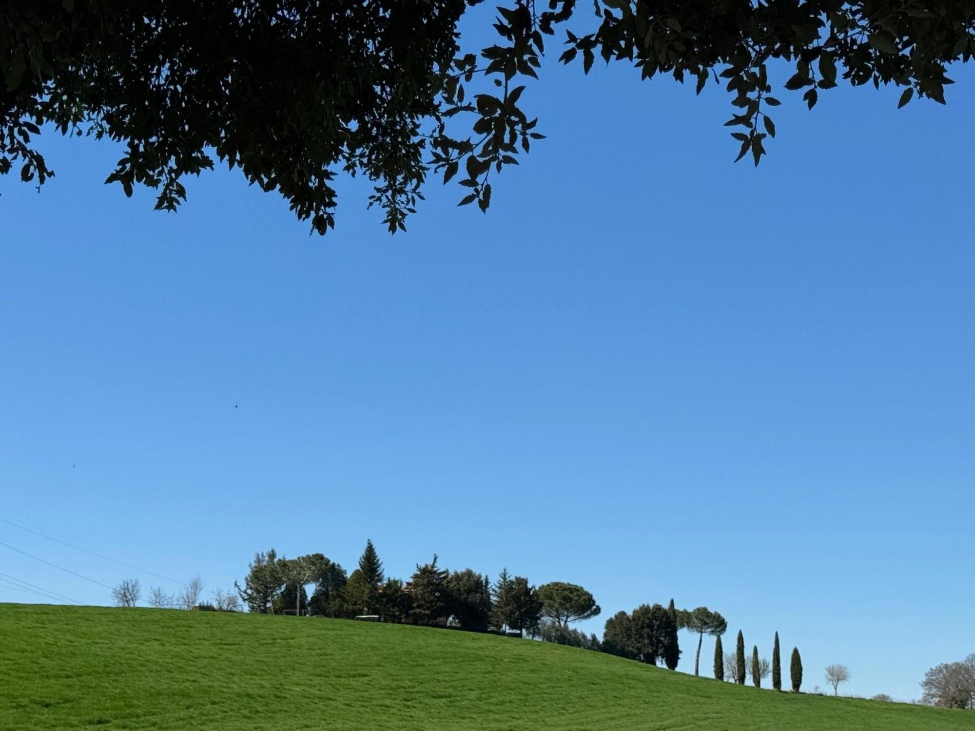 Orvieto Country House Castiglione In Teverina 外观 照片