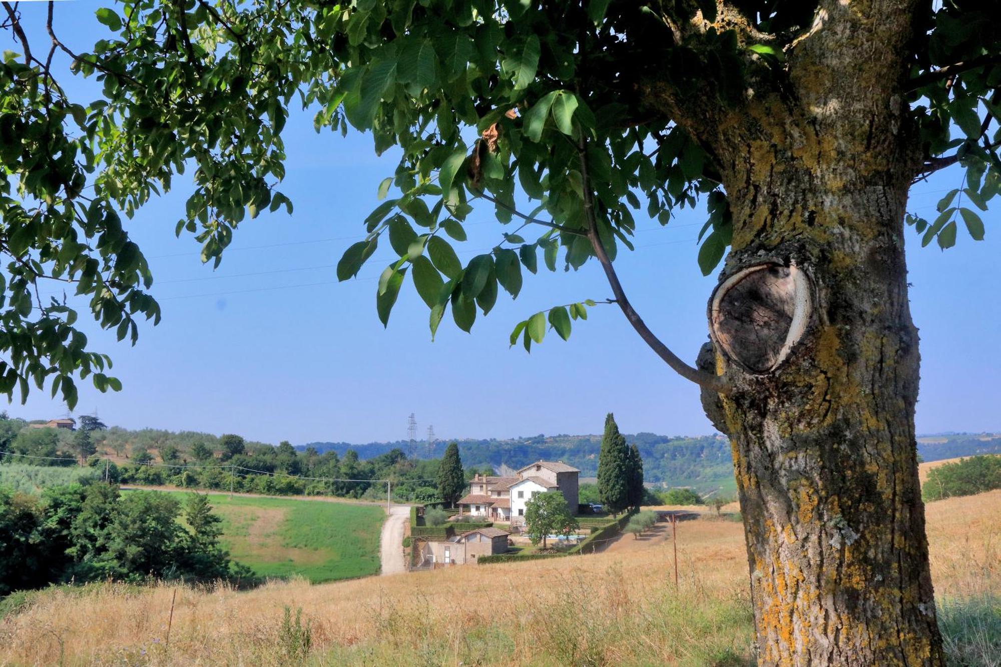 Orvieto Country House Castiglione In Teverina 外观 照片