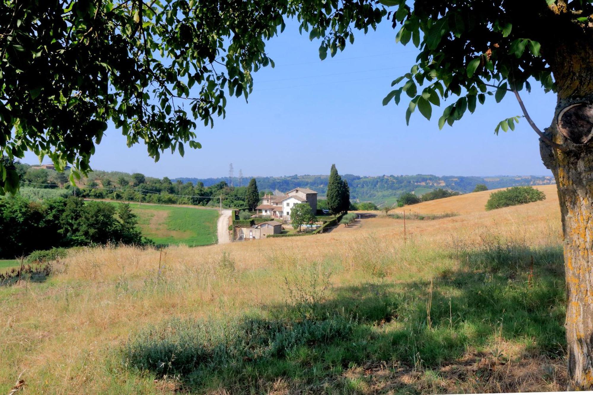 Orvieto Country House Castiglione In Teverina 外观 照片