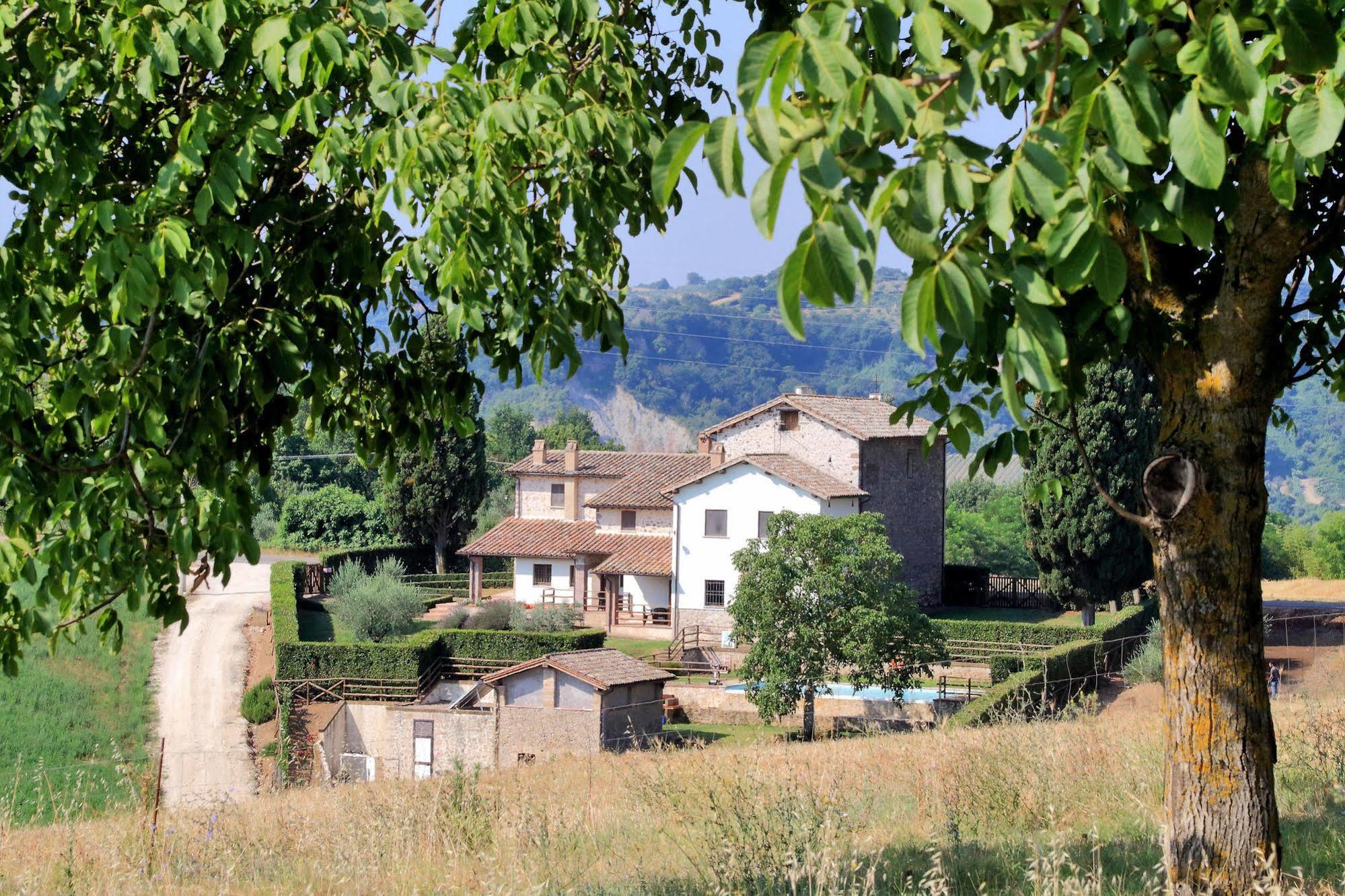 Orvieto Country House Castiglione In Teverina 外观 照片