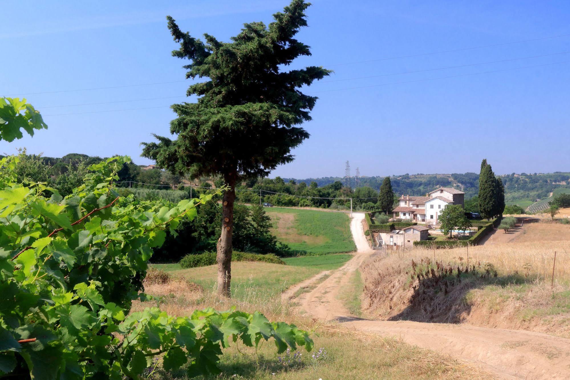 Orvieto Country House Castiglione In Teverina 外观 照片